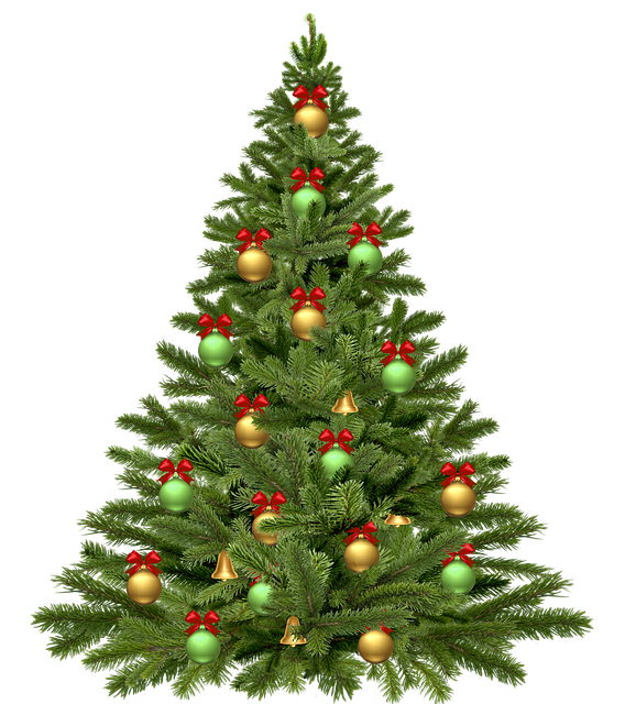 christmas tree 1808558 640