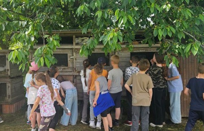 Edukacyjna wycieczka do agroturystyki w Obrowcu w ramach „Programu dla szkół”